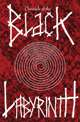 Chronicle of the Black Labyrinth