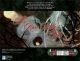 The Rose-Bride's Plight (Changeling: The Lost)