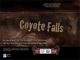 Coyote Falls