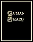 Human Wizard Character Sheet
