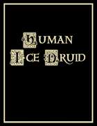 Human Ice Druid Character Sheet