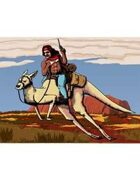 Ryan Sumo Presents: Kangaroo Cowboy