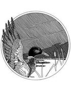 W Fraser Sandercombe Presents: Mallard in the Round