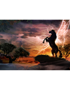 Jason Moser Presents: Horse Spirit