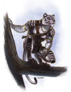 Eric Lofgren Presents: Tigerman Scout