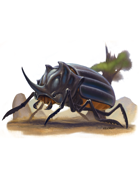 Eric Lofgren Presents: Giant Rhino Beetle