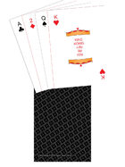 Poker Deck - TTC back - Black