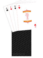 Mini Poker Deck - TTC back - Black