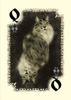 A Cat in King Arthur's Court