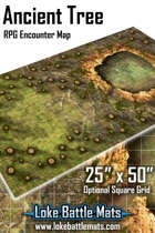 Ancient Tree 25x50 RPG Encounter Map