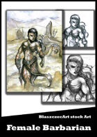 BlaszczecArt Stock Art: Barbarian 3