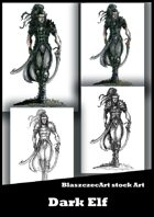BlaszczecArt Stock Art: Dark Elf