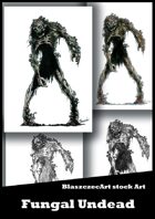 BlaszczecArt Stock Art: Fungal Undead