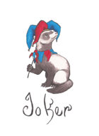 Ferret Cards