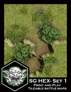 *01-sg hex