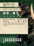 Seenah (Hunters Guild)