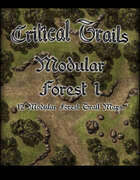 Critical Trails: Modular Forest 1