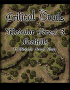 Critical Trails: Modular Forest 3