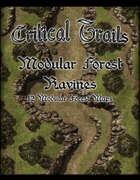 Critical Trails: Modular Forest Ravines