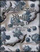 Critical Trails Winter: Winter Forest 1