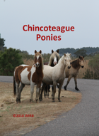 Chincoteague Pony Poker Deck #2
