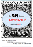 Un rat dans un labyrinthe, Maze Rat en VF