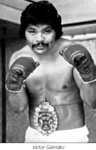 Light-Heavyweight Card Set