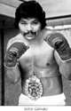Light-Heavyweight Card Set