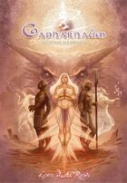 Capharnaüm : Livre d’Al-Rawi