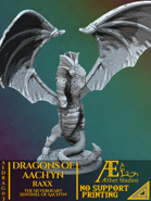 Dragons of Aach'yn: Raxx