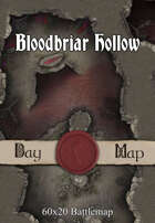 60x20 Battlemap - Bloodbriar Hollow