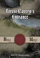 40x30 Battlemap - Forest Cavern’s Entrance