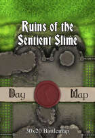 30x20 Battlemap - Ruins of the Sentient Slime