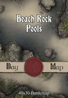 40x30 Battlemap - Beach Rock Pools