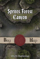 40x30 Battlemap - Sprites Forest Canyon