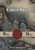 40x30 Battlemap - Canyon Oasis