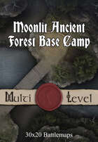 30x20 Multi-Level Battlemap - Moonlit Ancient Forest Base Camp