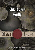 30x20 Multi-Level Battlemap - Vile Tooth Gully