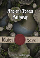 30x20 Multi-Level Battlemap - Ancient Forest Pathway