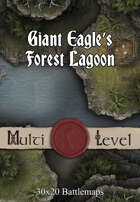 30x20 Multi-Level Battlemap - Giant Eagle’s Forest Lagoon