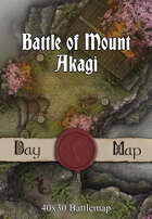 40x30 Battlemap - Battle of Mount Akagi