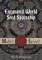 40x30 Multi-Level Battlemap - Excavated World Seed Spaceship