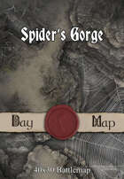 40x30 Battlemap - Spider’s Gorge