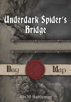 40x30 Battlemap - Underdark Spider’s Bridge