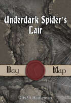 40x30 Battlemap - Underdark Spider’s Lair