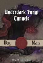 40x30 Battlemap - Underdark Fungi Tunnels