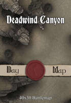 40x30 Battlemap - Deadwind Canyon