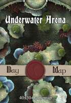 40x30 Battlemap - Underwater Arena
