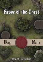 40x30 Battlemap - Grove of the Three
