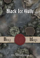 40x30 Battlemap - Black Ice Gully